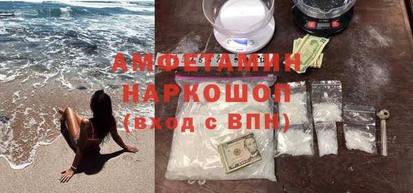 шишки Гусиноозёрск