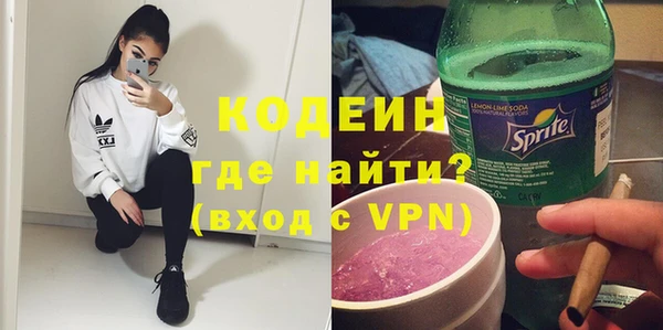 шишки Гусиноозёрск