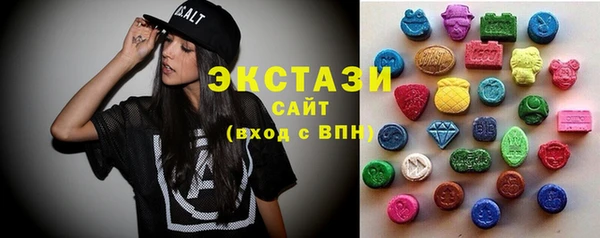 шишки Гусиноозёрск
