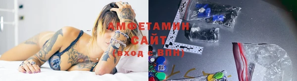 шишки Гусиноозёрск