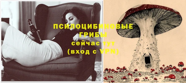 шишки Гусиноозёрск
