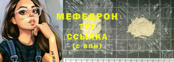 шишки Гусиноозёрск