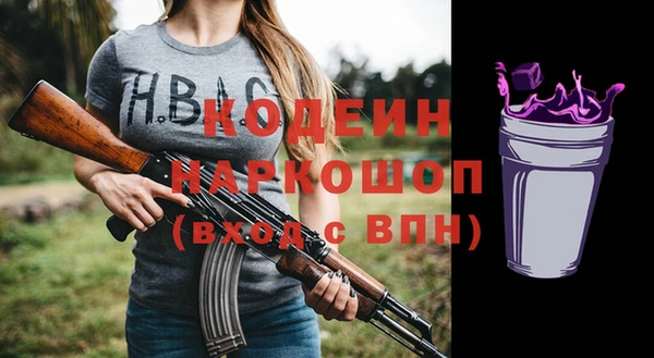 хмурый Гусев
