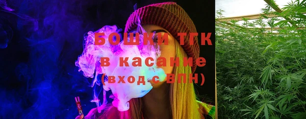 хмурый Гусев