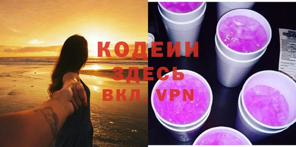 шишки Гусиноозёрск