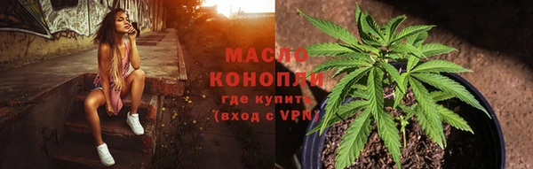 шишки Гусиноозёрск