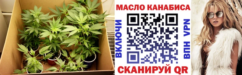 ТГК жижа  наркотики  kraken зеркало  Каменка 